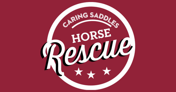 horse rescue